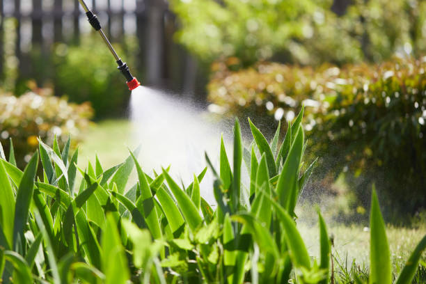 Tamper-Resistant Bait Stations for Rodents in Lemon Hill